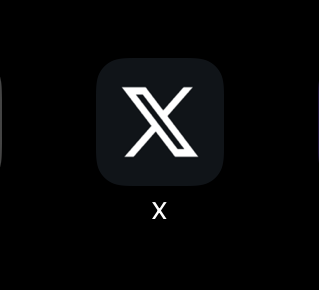 Grafisches X Icon. Darunter der Buchstabe X.