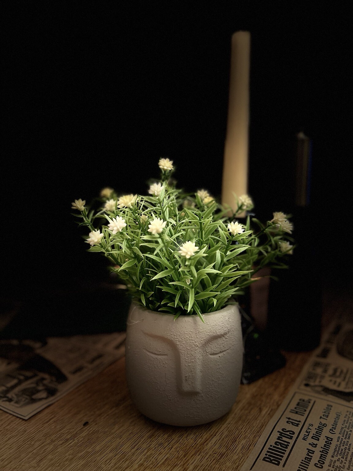 Topf mit Gesicht. Darin Pflanzen mit Blüten.