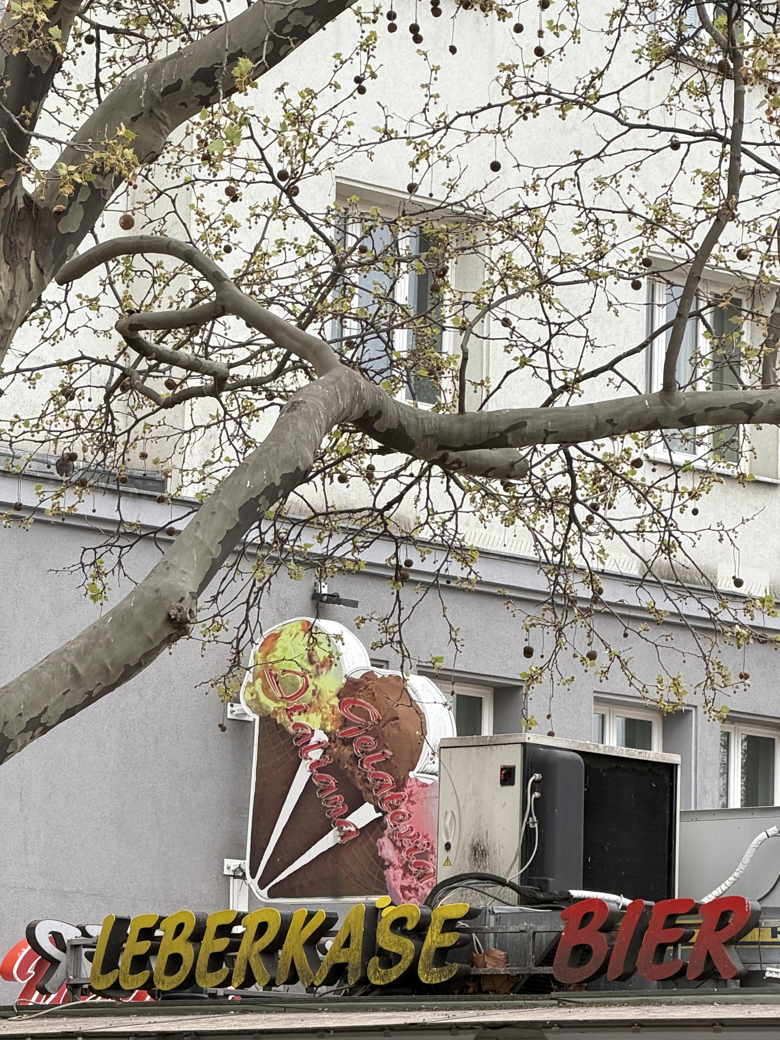 Straßenszene mit kahlem Baum vor einem Haus; darunter ein Schild mit zwei Eistüten und den Schriftzügen „Leberkäse“ und „Bier“.