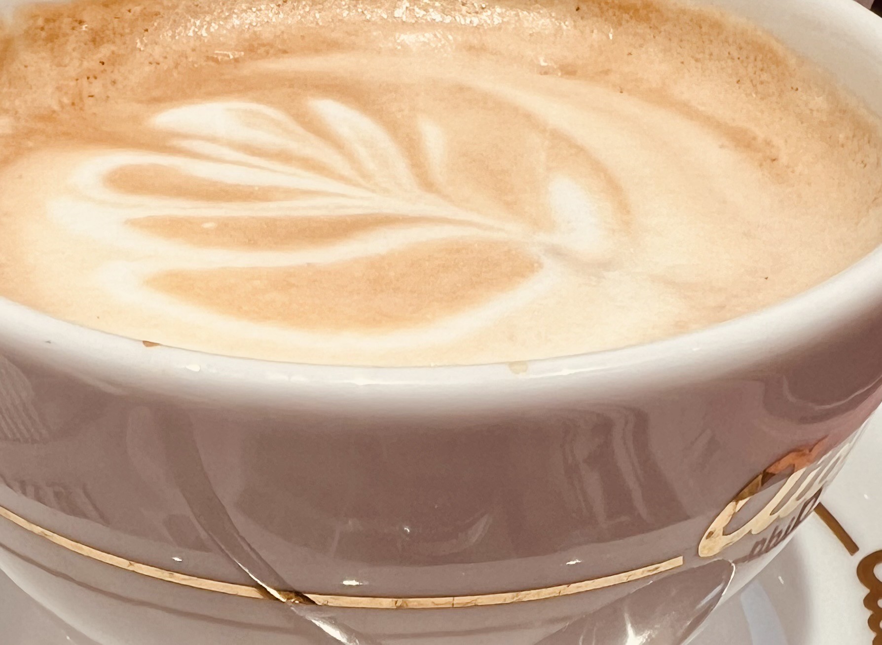 Ein Nahaufnahmebild eines Cappuccinos in einer weißen Tasse mit einem Muster aus Milchschaum auf der Oberfläche, das an ein Blatt erinnert. Die Tasse sitzt auf einer Untertasse und wirkt einladend und warm. Der Hintergrund ist unscharf, wodurch der Fokus auf den Kaffee gerichtet wird.