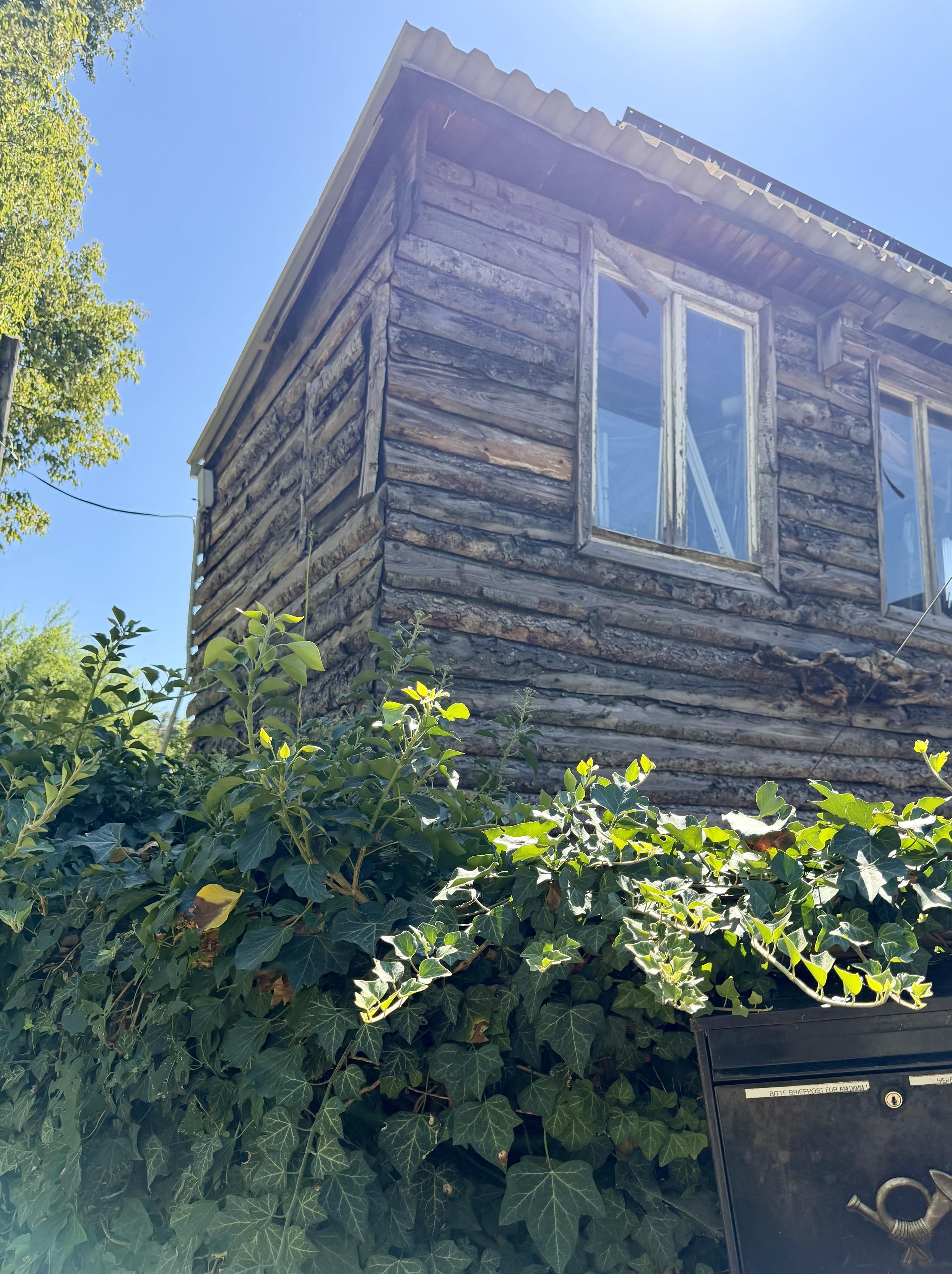 Ein altes Holzhaus mit einer großen Fenstern, umgeben von grünen Pflanzen und einem blauen Himmel bei Sonnenschein.