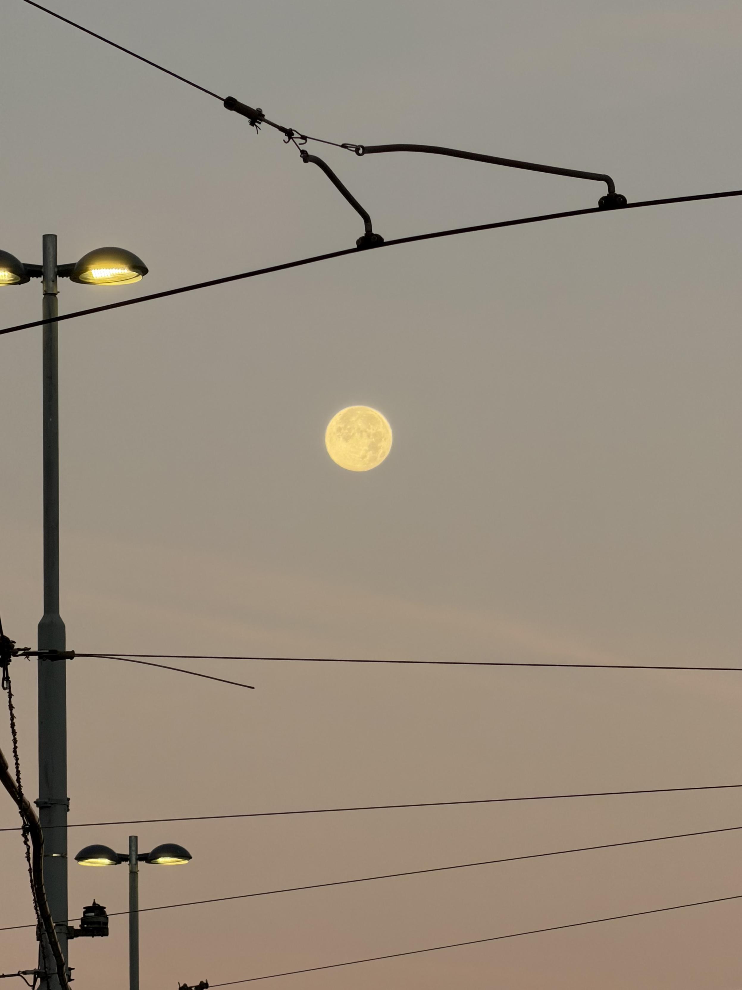 Der Vollmond steht tief am Himmel am Morgen, umgeben von einem zartrosa-grauen Farbverlauf. Im Vordergrund verlaufen Oberleitungen und Teile einer Straßenbahn-Stromabnahmevorrichtung. Zwei Straßenlaternen mit gelblichem Licht sind ebenfalls sichtbar.