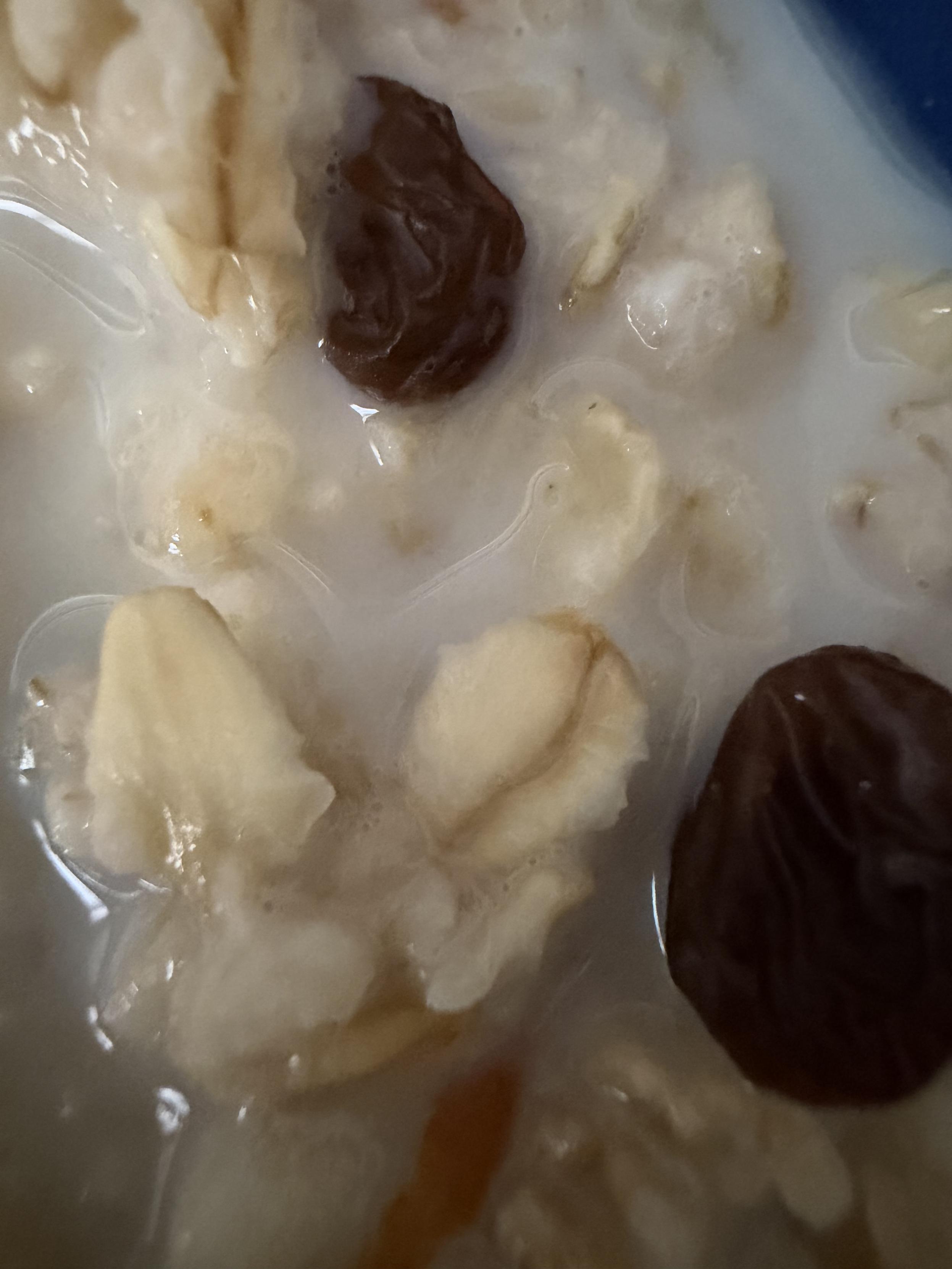 Nahaufnahme Haferflocken in milchiger Flüssigkeit. Darauf liegen zwei Rosinen.