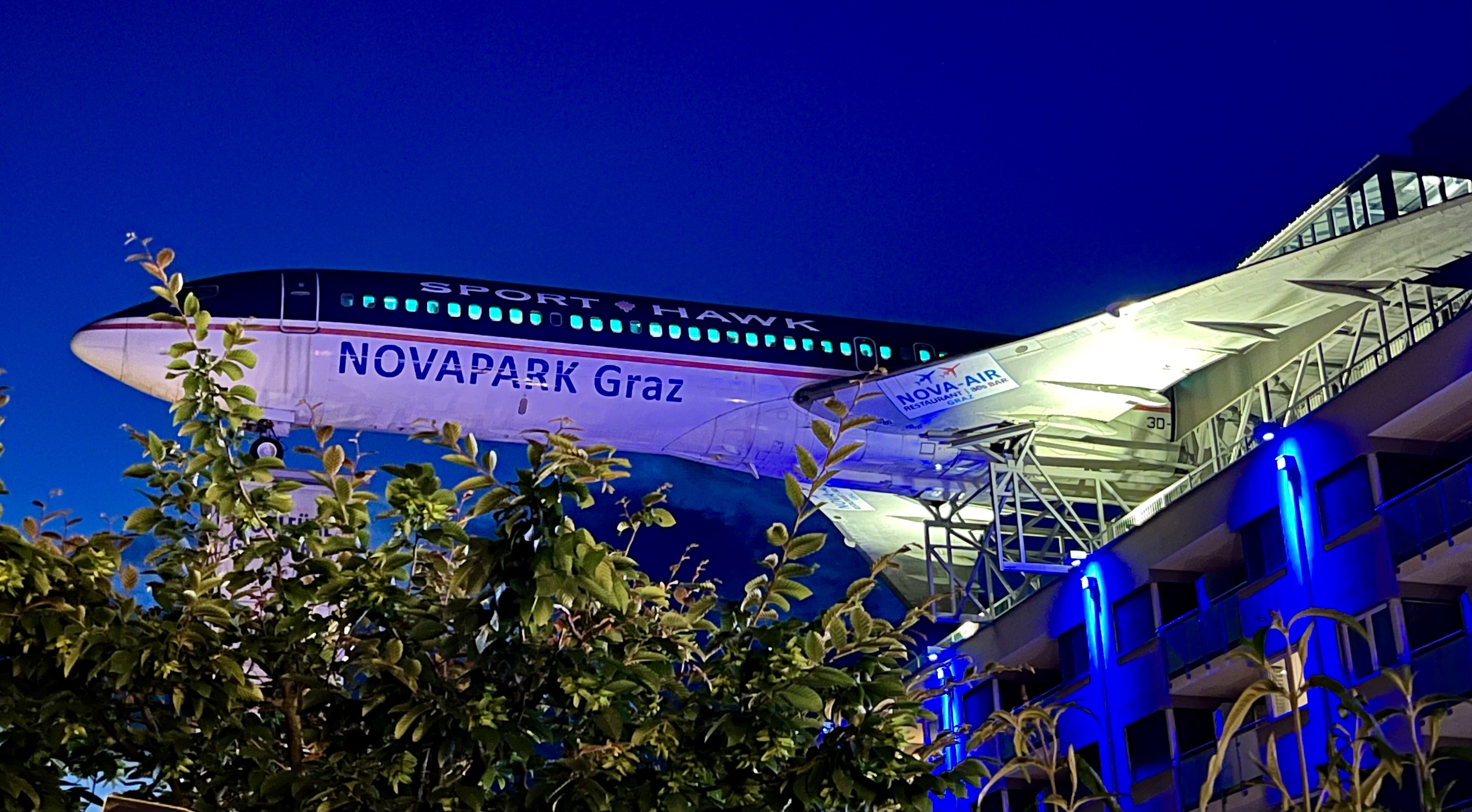 Ein Passagierflugzeug am Dach eines Gebäudes platziert,   bei Nacht. Im Vordergrund sind Blätter und Zweige von Bäumen zu sehen.